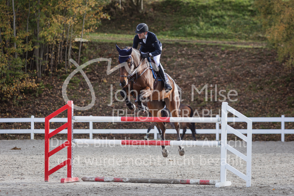 221023_Warstein_GroßerPreis-502 | Deine schönsten Turniermomente als professionelle Fotos! Entdecke hochwertige Pferdesport-Fotografie im Online-Shop. Jetzt Fotos finden & bestellen!