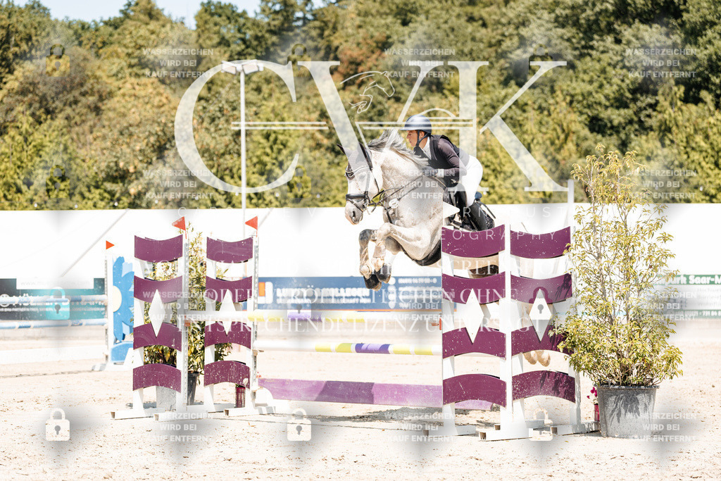 CK900927 | Turnierfotografie Pferdefotografie Trier Rheinland-Pfalz Pferdesport Reitsport Tierfotografie Sportfotografie Pferdevideo Pferdevideografie Equestrianvideography equestrianphotography  - Realisiert mit Pictrs.com