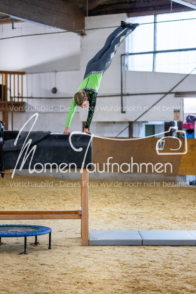 Holzpferd-023 | MomenTaufnahmen Pferdesportfotos