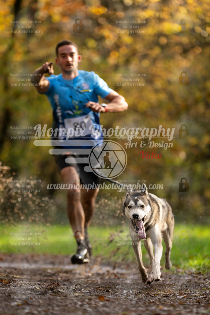 MompixPhotography_Bischwiller23_Canicross-2 | PayLife