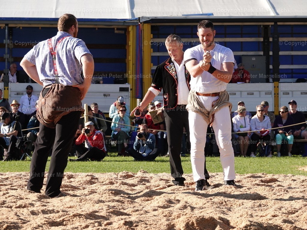 DSC07347 | Schwingen - Realisiert mit Pictrs.com