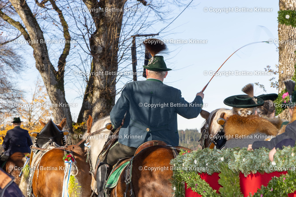 LBT25-997 | foto-bettina-krinner - Realisiert mit Pictrs.com