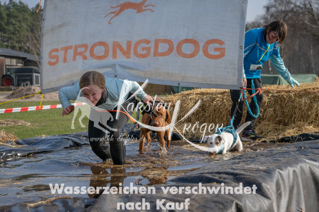 _ZZ91340 | kk-dogfotos