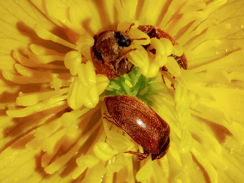 PSX_20230523_230234 | mtkfoto_ - Realisiert mit Pictrs.com