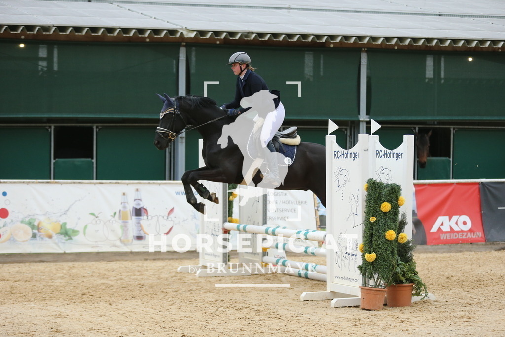 DL2Q5179 | Willkommen bei Brunnmayr - Design & Fotografie – Ihrem Spezialisten für Reitturniere und Pferdeveranstaltungen in Oberösterreich, Salzburg und Bayern! Seit über 17 Jahren sind wir leidenschaftlich dabei.