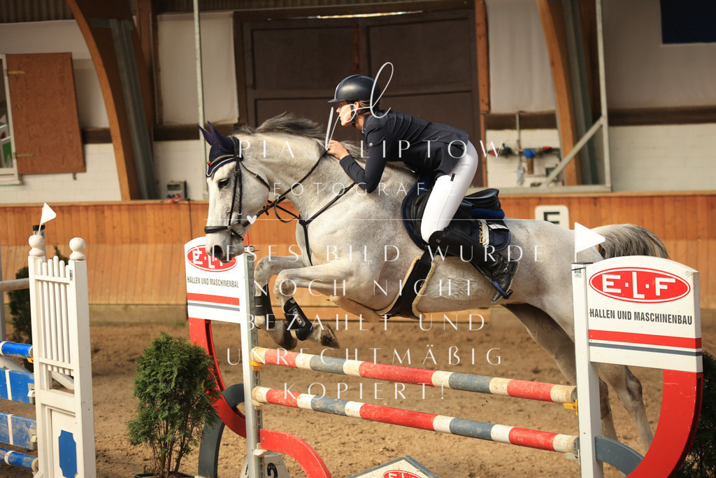 IMGT0264 | pl-fotografie