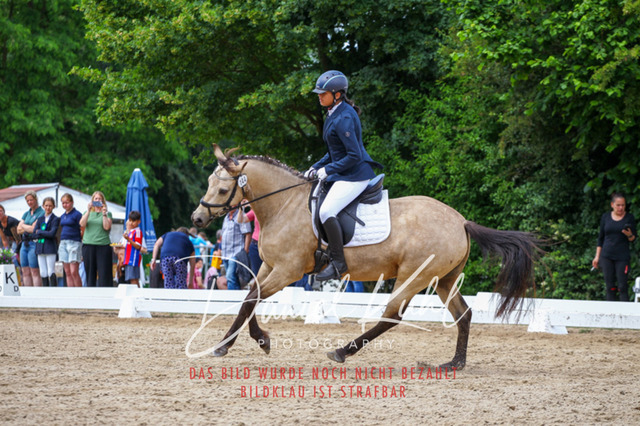 DKP46288 | Turnierfotos kaufen im Webshop von Daniel Kuhl Photography – entdecke professionelle Reitsportfotos aus Turnieren & Events. Hochwertige Turnierbilder online bestellen & sichern. Jetzt Fotos von Reitsportturnieren kaufen!