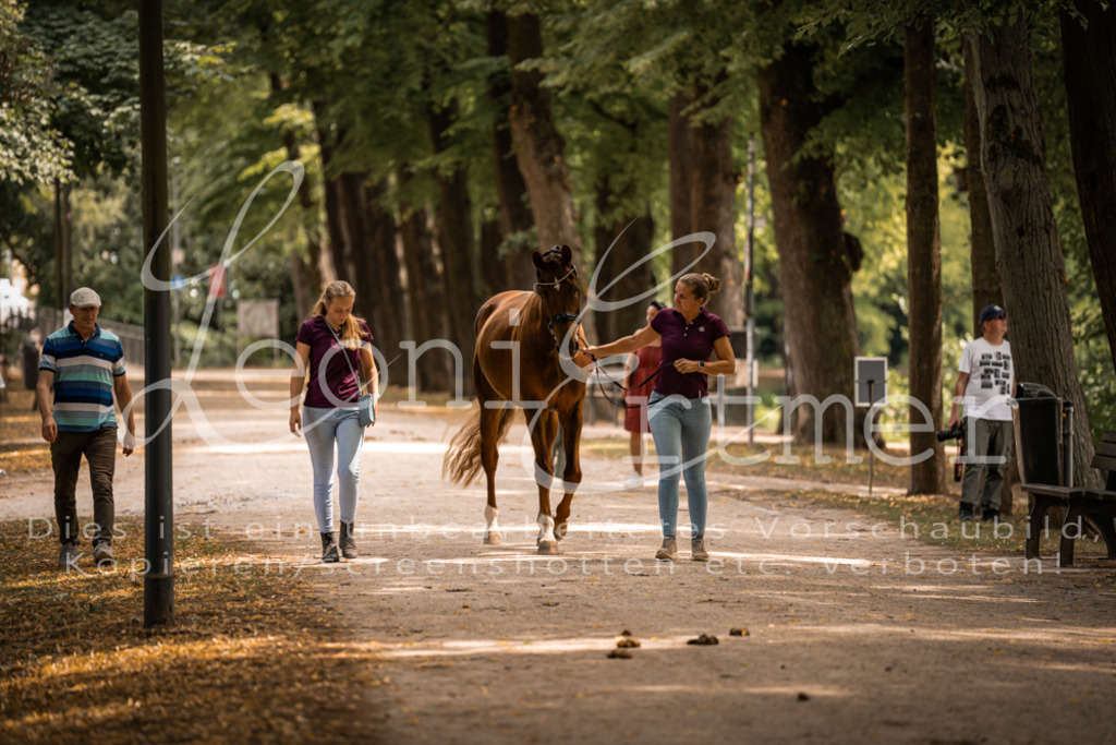 FrPfM00255 | Leoni Ertmer Photography - Realisiert mit Pictrs.com