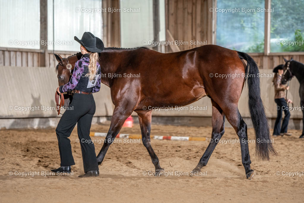 SAL00824 | BS-foto