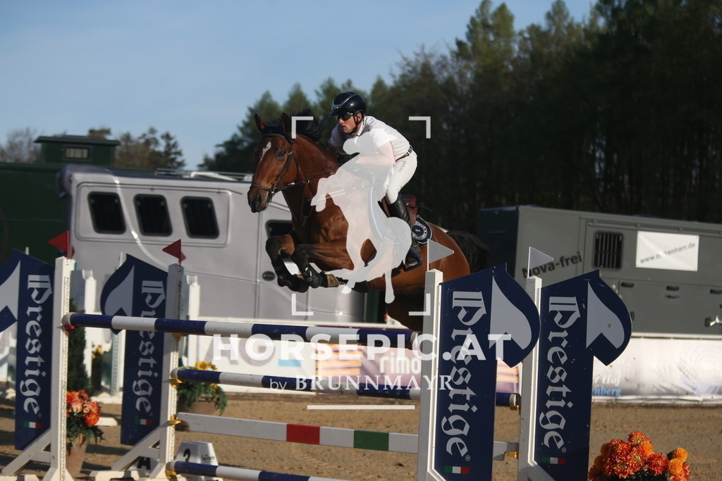 AS8V6576 | Willkommen bei Brunnmayr - Design & Fotografie – Ihrem Spezialisten für Reitturniere und Pferdeveranstaltungen in Oberösterreich, Salzburg und Bayern! Seit über 17 Jahren sind wir leidenschaftlich dabei.