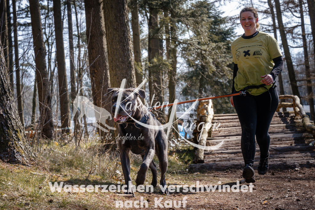 1329_ZZ95283 | kk-dogfotos