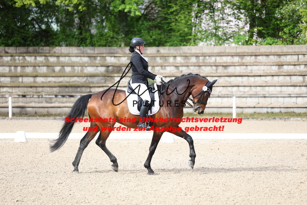 A40A0447 | lmwpictures - Realisiert mit Pictrs.com