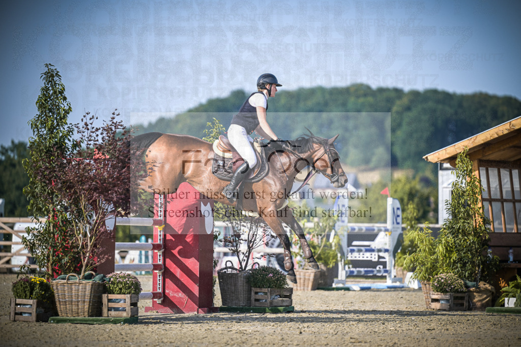 DOS_0284 | Entdecke hochwertige Reitturnierfotos von Foto Oger. Professionell, emotional und authentisch – jetzt Lieblingsmomente im Shop bestellen.Deutschlandweite Turnierfotografie. - Realisiert mit Pictrs.com