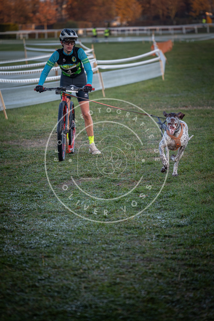 CaniXpix_0L8A1016 | Hundefotografie, Tierfotograf, Pfotenfotografie, Fotoshooting Hund, Hunde Portrait, Hundesport, Hundeportraits, Heideshooting, Hunde, Sportfotograf, Hundefotograf, Turnierhundsport, THS,  - Realisiert mit Pictrs.com