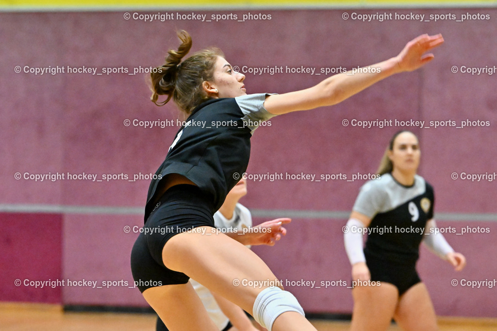 ASKÖ Volley Eagles vs. VC Raiffeisen Dornbirn 26.11.2022 | #4 PICHLER Verena
