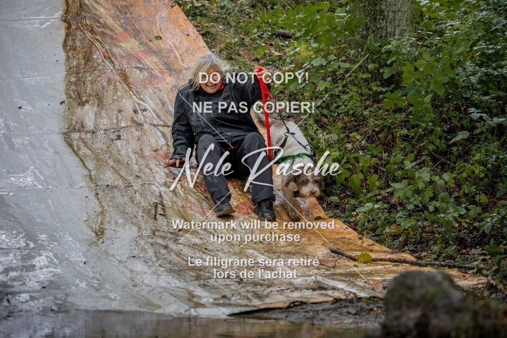 nelerasche_Hunsrück_Sa1430-1500_54-final | nelerasche
