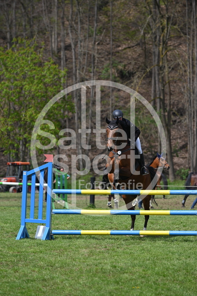 DSC_2721 | sattelsport - Realisiert mit Pictrs.com