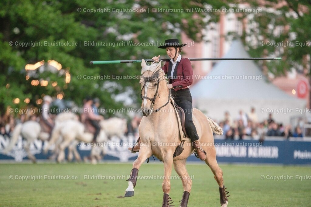 20230526_Pferdenacht_0751 | equistock