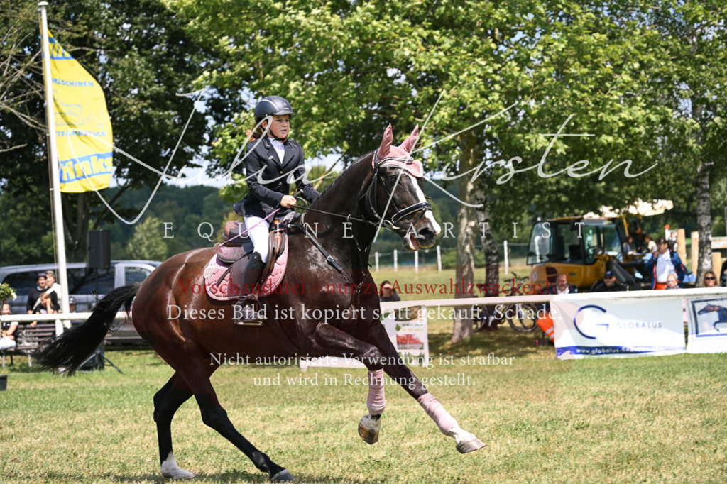 DSC_9370 | Pferde- und Turnierfotografie in Westsachsen. Pferdeportraits, Auftragszeichnungen und intuitive Kunst.