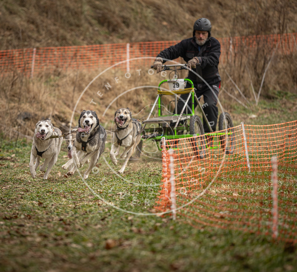 Pfotenfotografie_DV3A8348 | Hundefotografie, Tierfotograf, Pfotenfotografie, Fotoshooting Hund, Hunde Portrait, Hundesport, Hundeportraits, Heideshooting, Hunde, Sportfotograf, Hundefotograf, Turnierhundsport, THS,  - Realisiert mit Pictrs.com