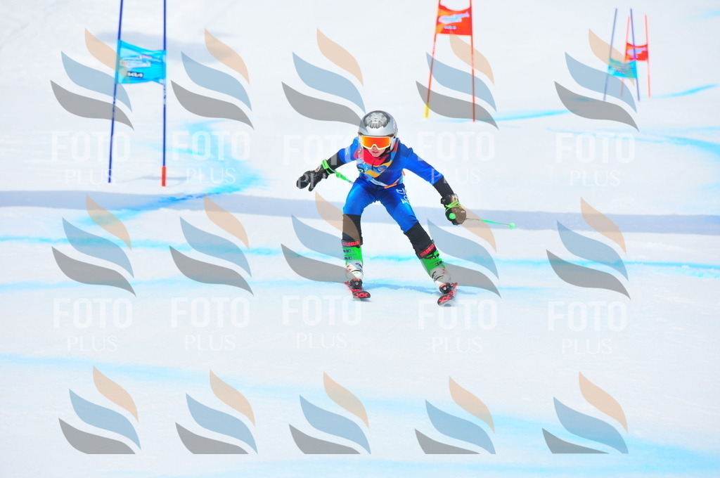 DSC_2271 | holidayphoto