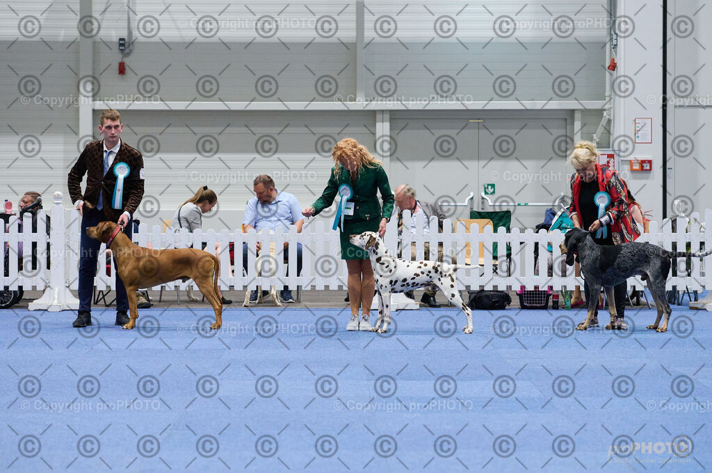 202406_ÖKV-IHA-Tulln24_DSC_3079 | proPHOTO - Realisiert mit Pictrs.com