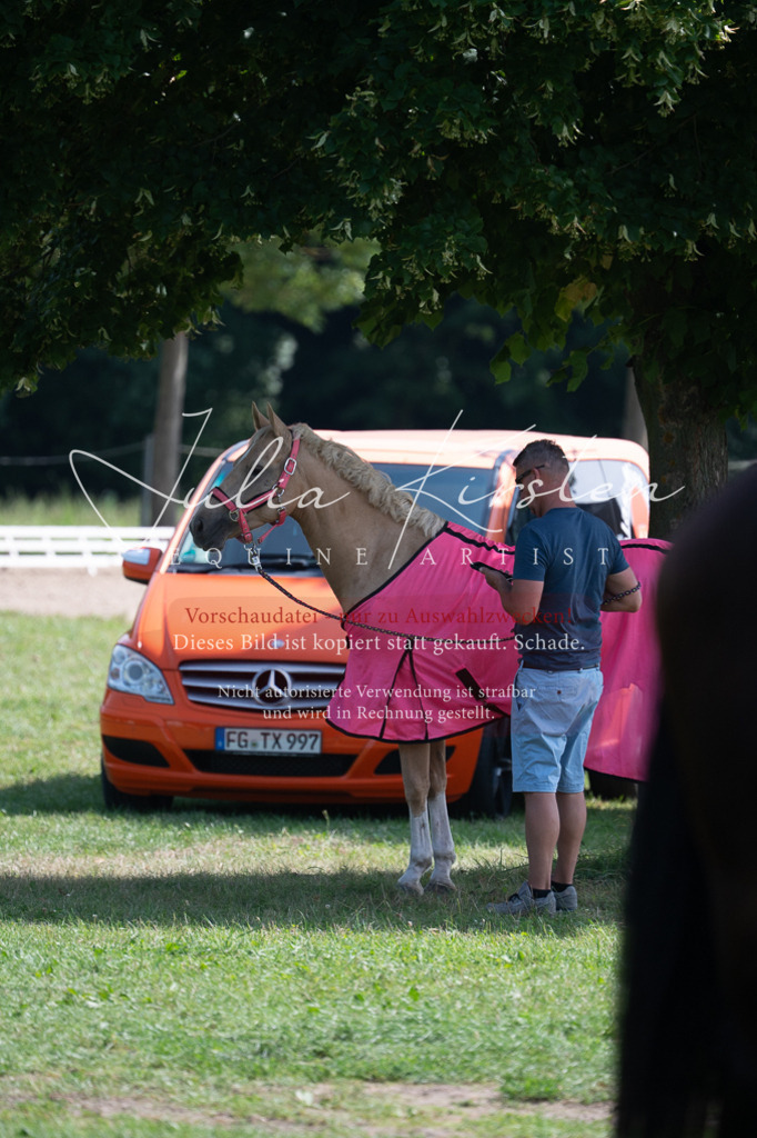 DSC_0599 | Pferde- und Turnierfotografie in Westsachsen. Pferdeportraits, Auftragszeichnungen und intuitive Kunst.