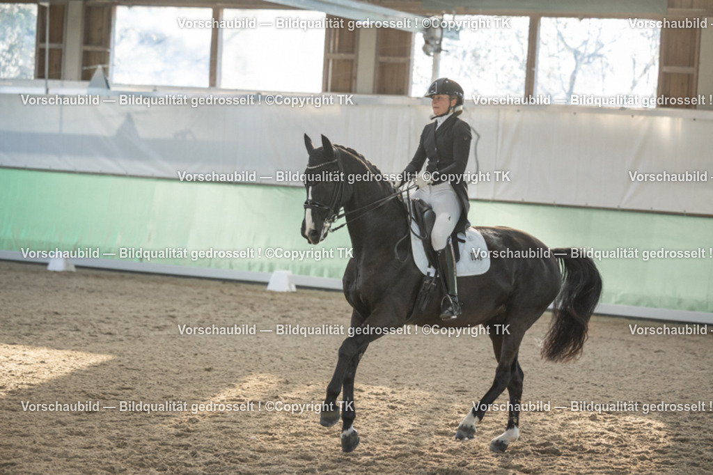 _D5A0791 | Emotionale Pferde- & People-Fotografie rund um Heidelberg, Leimen & Umgebung. Natürliche Fotos von Pferd, Mensch & Familie. Jetzt Termin sichern!