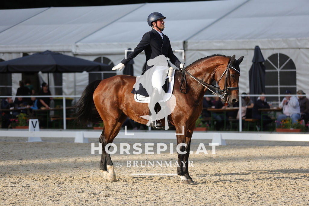 0P6A7912 | Willkommen bei Brunnmayr - Design & Fotografie – Ihrem Spezialisten für Reitturniere und Pferdeveranstaltungen in Oberösterreich, Salzburg und Bayern! Seit über 17 Jahren sind wir leidenschaftlich dabei.