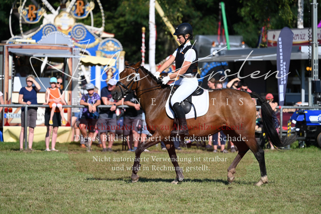 DSC_5298 | Pferde- und Turnierfotografie in Westsachsen. Pferdeportraits, Auftragszeichnungen und intuitive Kunst.