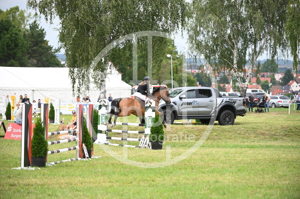 DSC_1613 | sattelsport - Realisiert mit Pictrs.com