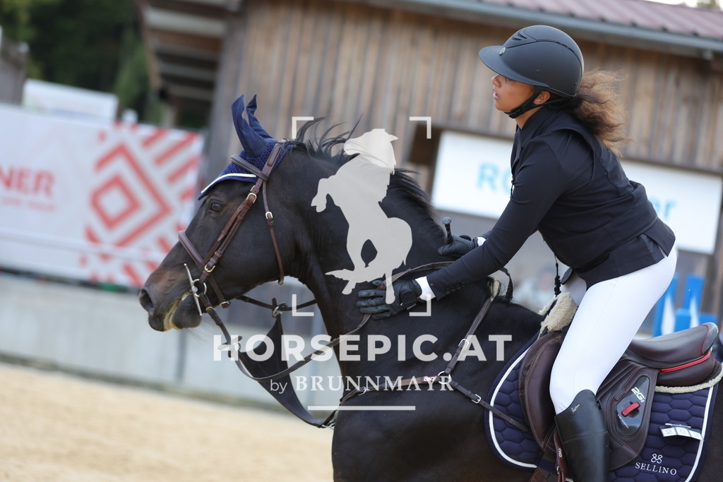 0P6A0148 | Willkommen bei Brunnmayr - Design & Fotografie – Ihrem Spezialisten für Reitturniere und Pferdeveranstaltungen in Oberösterreich, Salzburg und Bayern! Seit über 17 Jahren sind wir leidenschaftlich dabei.