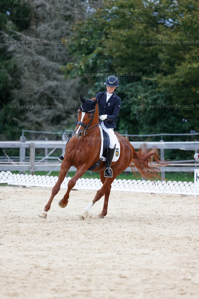 04_2-223-Dressur M__ -StoibPH-2965 | working equitationturnier fotograf videograf stoibphotography marixx film working equitation deutschland reitsport turnierfotografie eventfotografie equestrian events