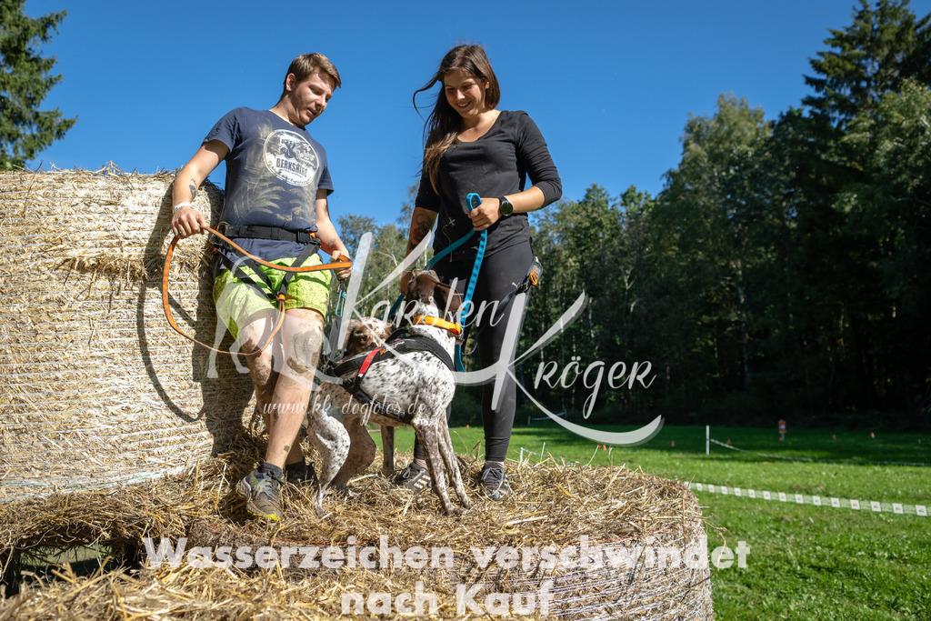 1215_ZZ90970-2 | kk-dogfotos