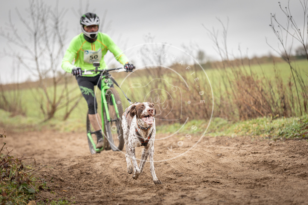 DV3A9235 | Hundefotografie, Tierfotograf, Pfotenfotografie, Fotoshooting Hund, Hunde Portrait, Hundesport, Hundeportraits, Heideshooting, Hunde, Sportfotograf, Hundefotograf, Turnierhundsport, THS,  - Realisiert mit Pictrs.com