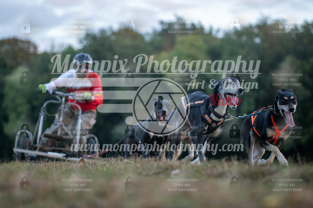 CDLBDB_15_10_2023_Dimanche-25 | PayLife