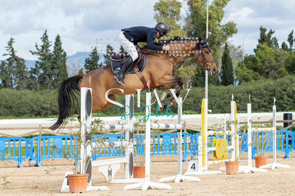 IMG_2547 | s-jay-photography - Realisiert mit Pictrs.com