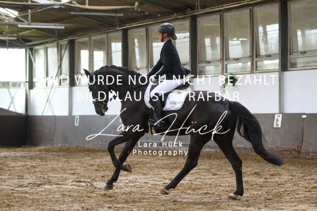 DKP45900 | larahueckfotografie