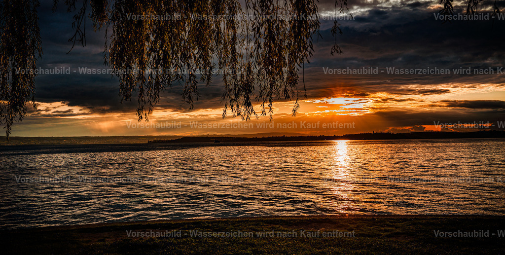 DSC00121-2 | marcuslinek