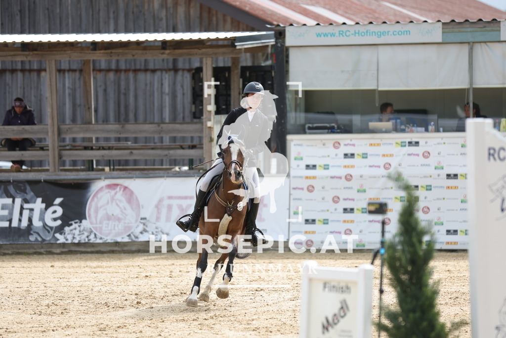 0P6A3406 | Willkommen bei Brunnmayr - Design & Fotografie – Ihrem Spezialisten für Reitturniere und Pferdeveranstaltungen in Oberösterreich, Salzburg und Bayern! Seit über 17 Jahren sind wir leidenschaftlich dabei.