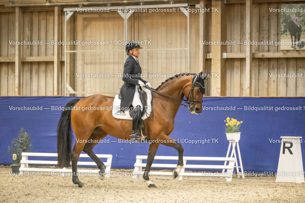 _D5A4922 | Emotionale Pferde- & People-Fotografie rund um Heidelberg, Leimen & Umgebung. Natürliche Fotos von Pferd, Mensch & Familie. Jetzt Termin sichern!