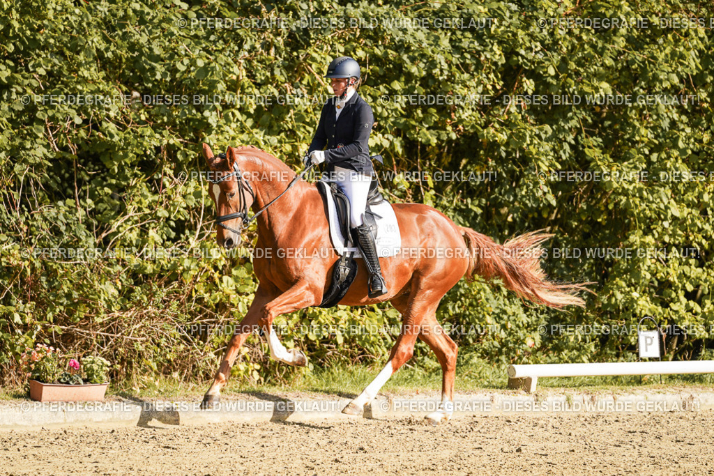 DSC05462 | Pferdegrafie