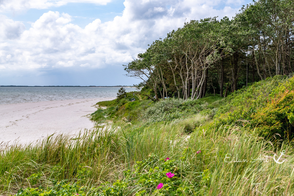 20240605-EAF_1552 | Eilun-Art-Fotografie Levke Martens, ihre Fotografin für Immobilien- und Landschaftsfotografie auf Föhr, Föhrer Motive als Poster, Leinwand, hinter Acrylglas oder stelle dir deinen eigenen Monatskalender zusammen, mit nur einem Klick