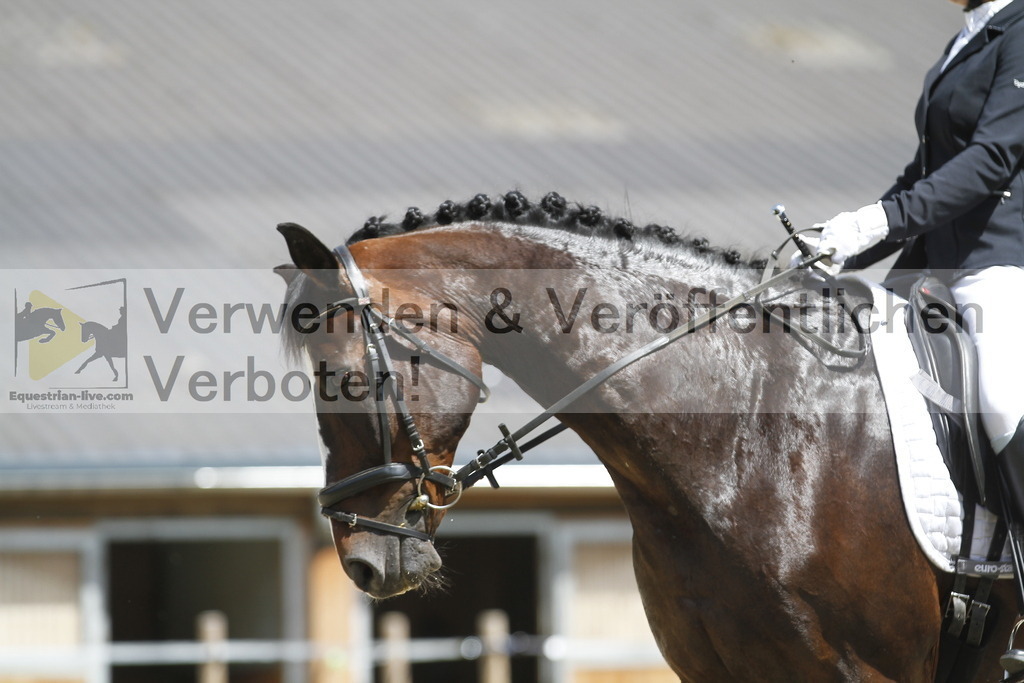 _MG_0828 | equestrian-live-com