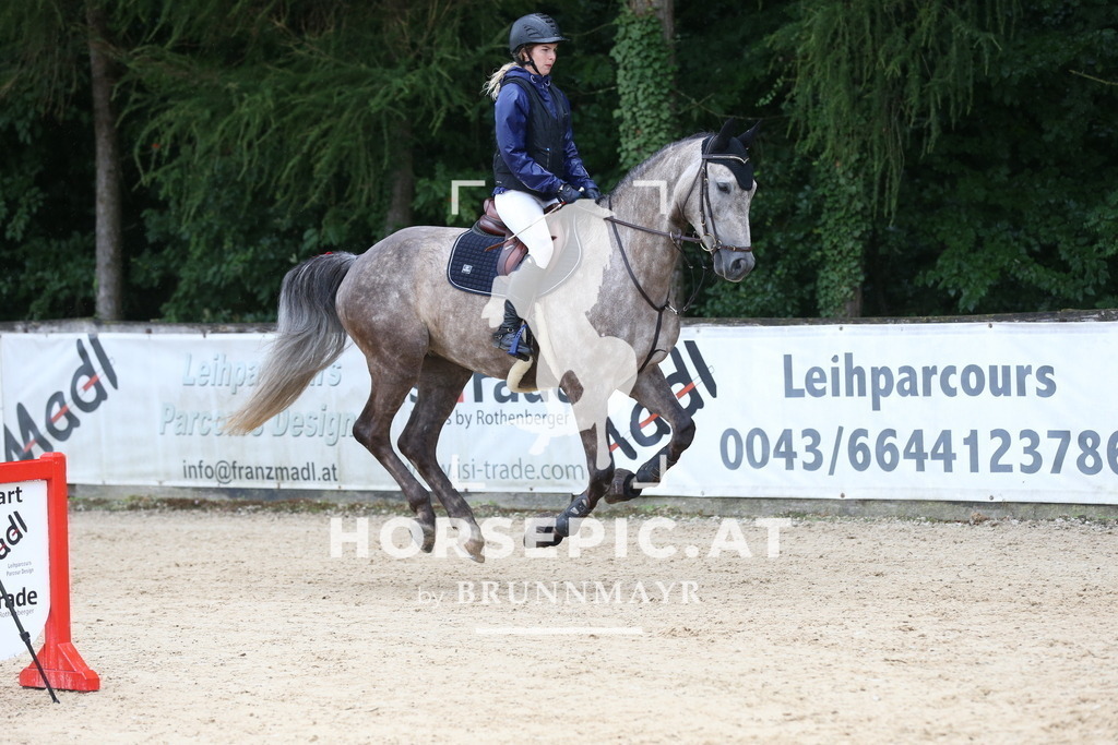 DL2Q6287 | Willkommen bei Brunnmayr - Design & Fotografie – Ihrem Spezialisten für Reitturniere und Pferdeveranstaltungen in Oberösterreich, Salzburg und Bayern! Seit über 17 Jahren sind wir leidenschaftlich dabei.