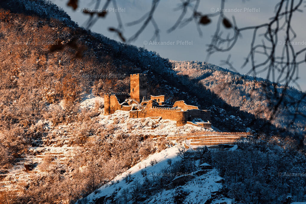 foto_c_pfeffel-partner-0136-R52_8098-Bearbeitet | alexander-pfeffel - Realisiert mit Pictrs.com