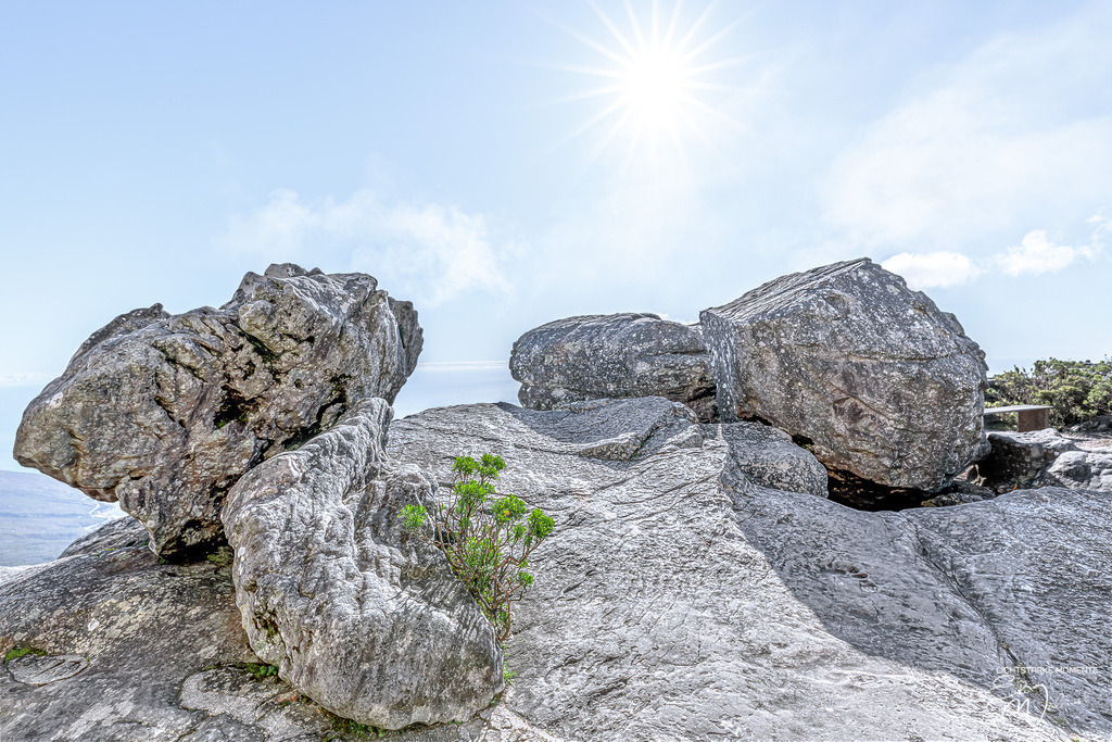 20230926-160448 SOUTHAFRIKA_-1 | Auf dem Tafelberg - Realisiert mit Pictrs.com