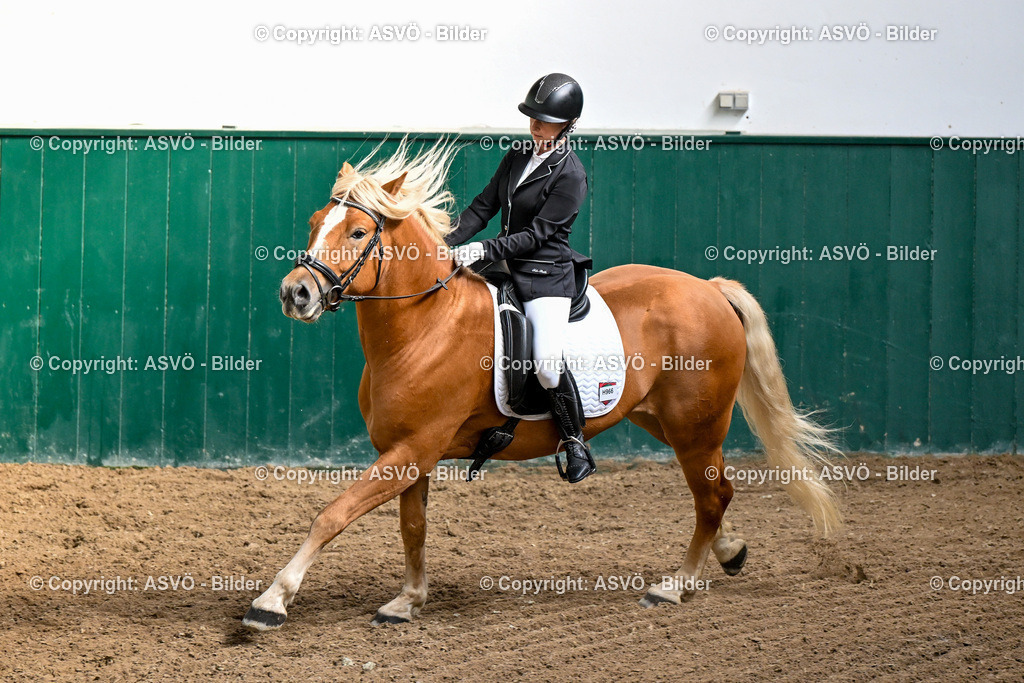 ASVÖ_ Reiten Bezirksmeisterschaft_ 24.08.2025-4 | 24.08.2025, AUT, ASVÖ, Reiten Bezirksmeisterschaft 2025Dressur und Springreiten©fodo.media / Harald Dostal - Realisiert mit Pictrs.com