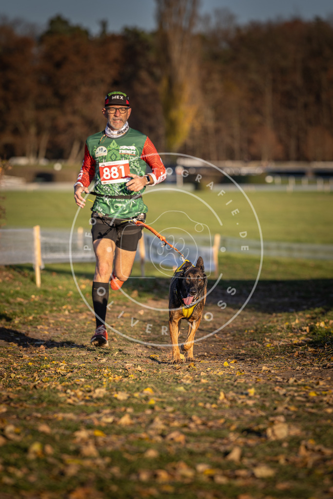 CaniXpix_DV3A4331 | Hundefotografie, Tierfotograf, Pfotenfotografie, Fotoshooting Hund, Hunde Portrait, Hundesport, Hundeportraits, Heideshooting, Hunde, Sportfotograf, Hundefotograf, Turnierhundsport, THS,  - Realisiert mit Pictrs.com