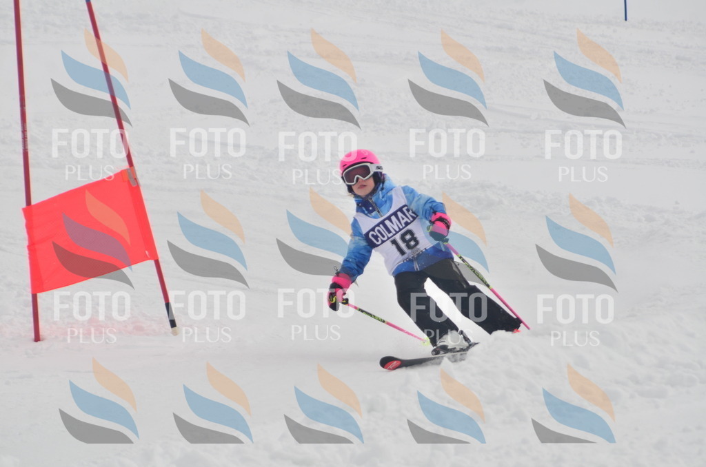 A5135 | holidayphoto